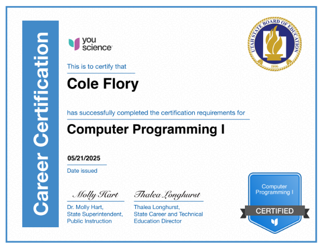 Computer Programming 1
